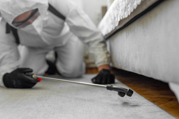 Professional Bed Bug Control technician working in Aberdeen, MD
